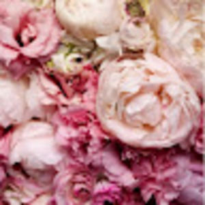 Meet your Posher, Rita